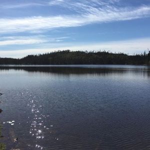 Meet your Posher, Johanne